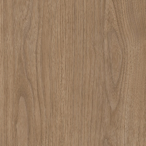 Light grey oak – Image 2