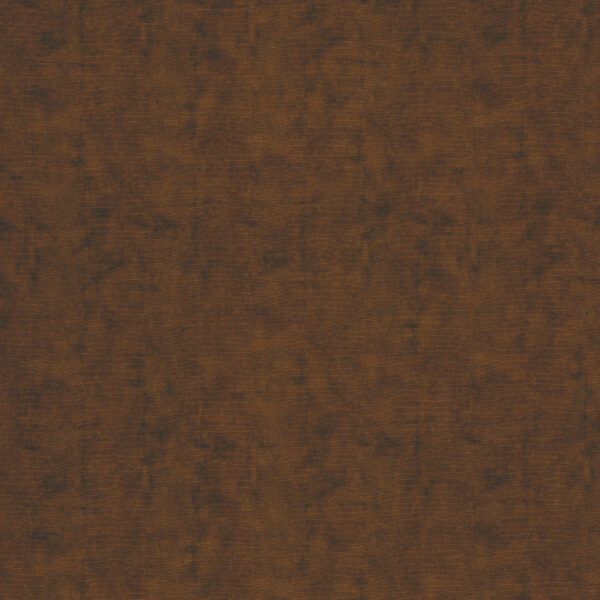 Bronzed leather – Image 2
