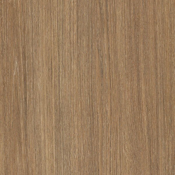 Golden oak – Image 2