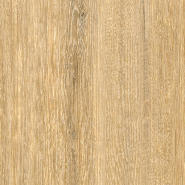 Light oak – Image 2