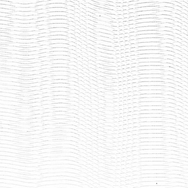 White wood waves – Image 2