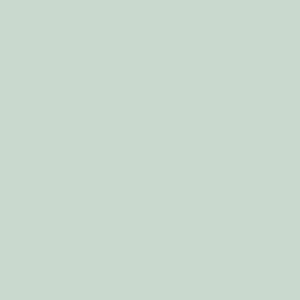 Clean mint – Image 2