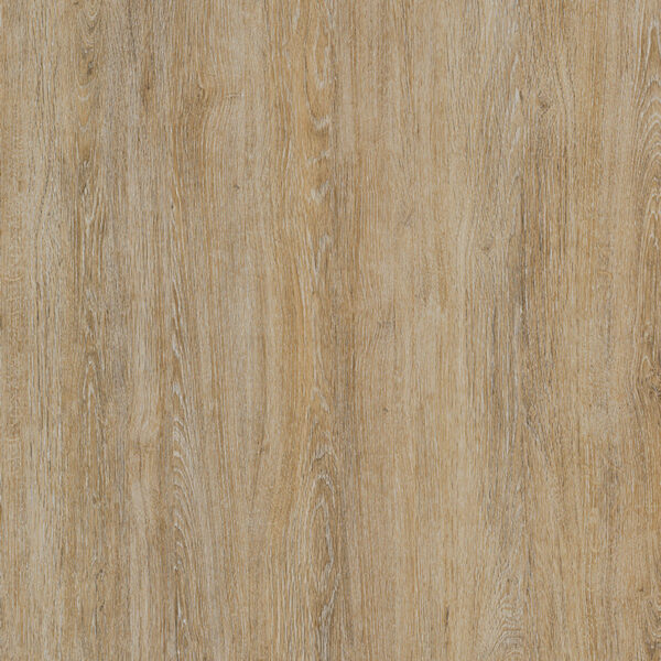 Light brown oak – Image 2
