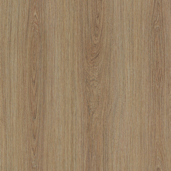 Smooth oaky oak – Image 2